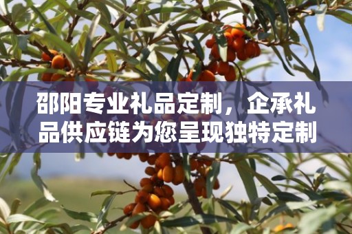 邵阳专业礼品定制，企承礼品供应链为您呈现独特定制体验